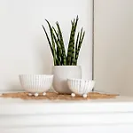 Apartament Fewo-keinath
